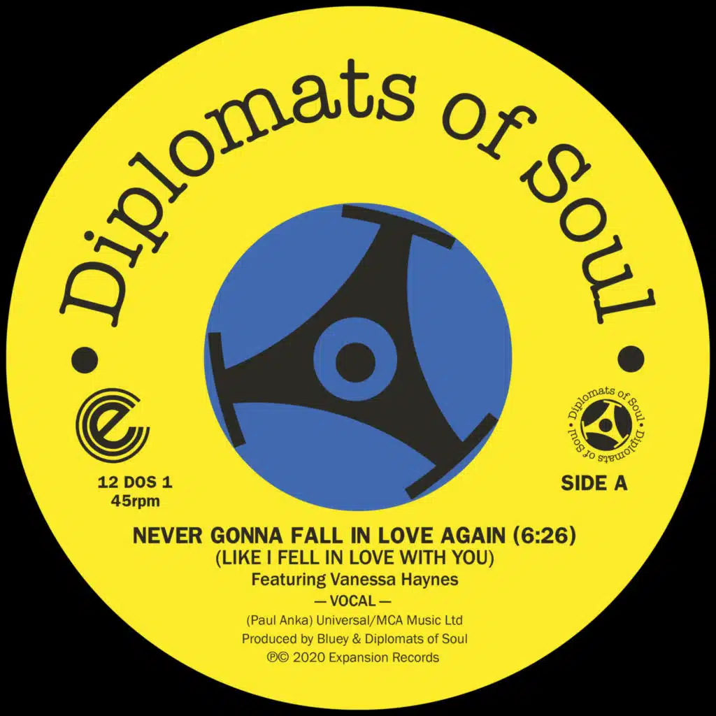 Never Gonna Fall in Love Again (Like I Fell in Love with You) [feat. Vanessa Haynes]