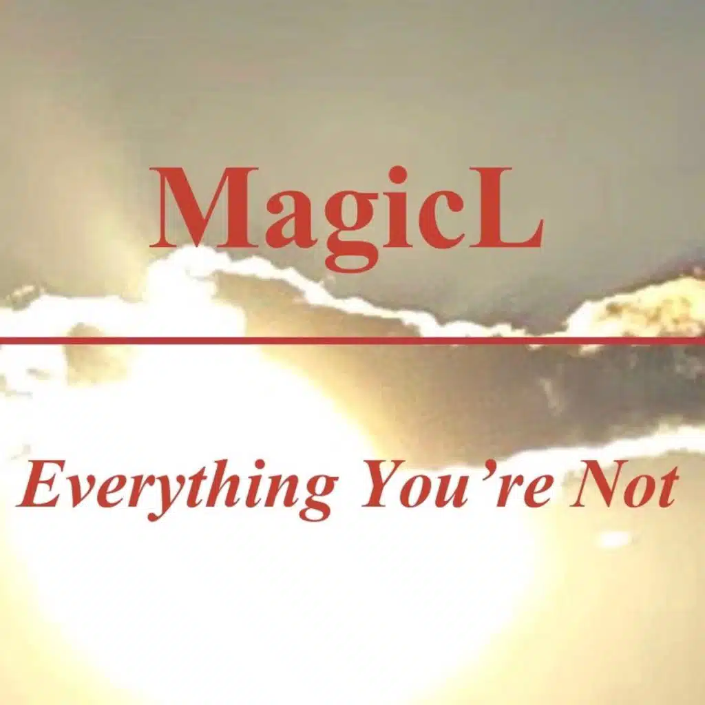 Everything You're Not