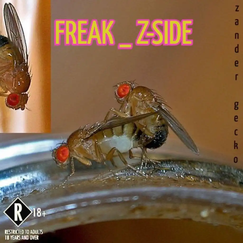 Freak _ Z-Side
