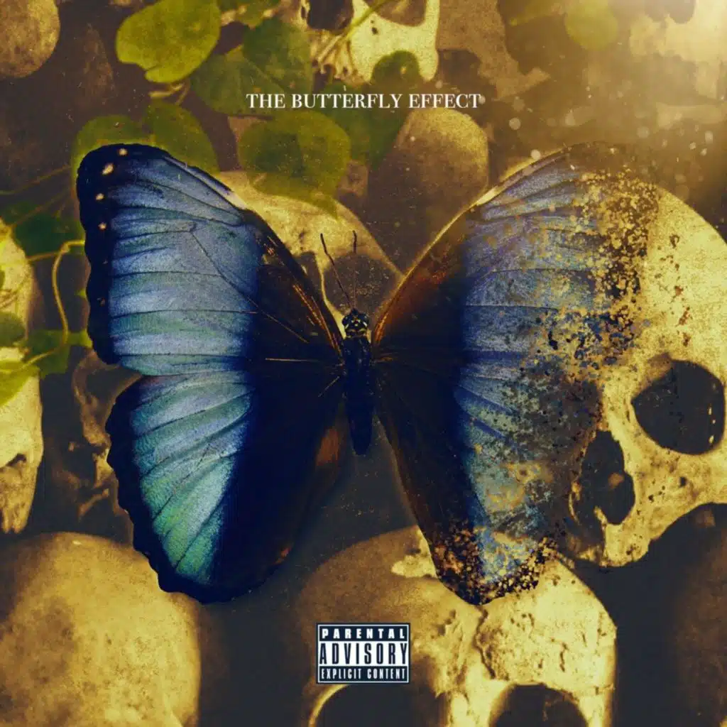 The Butterfly Effect