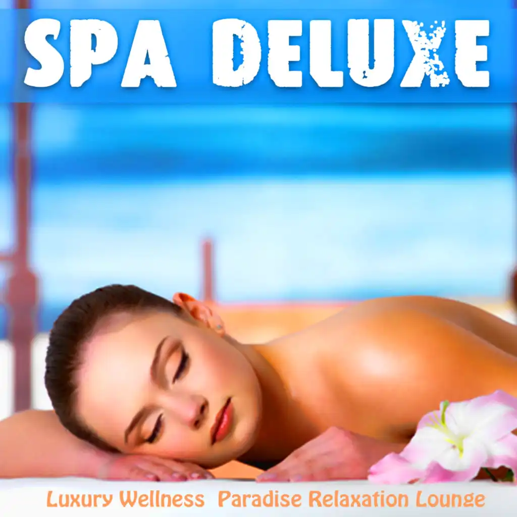 Spa Deluxe (Luxury Wellness  Paradise Relaxation Lounge)