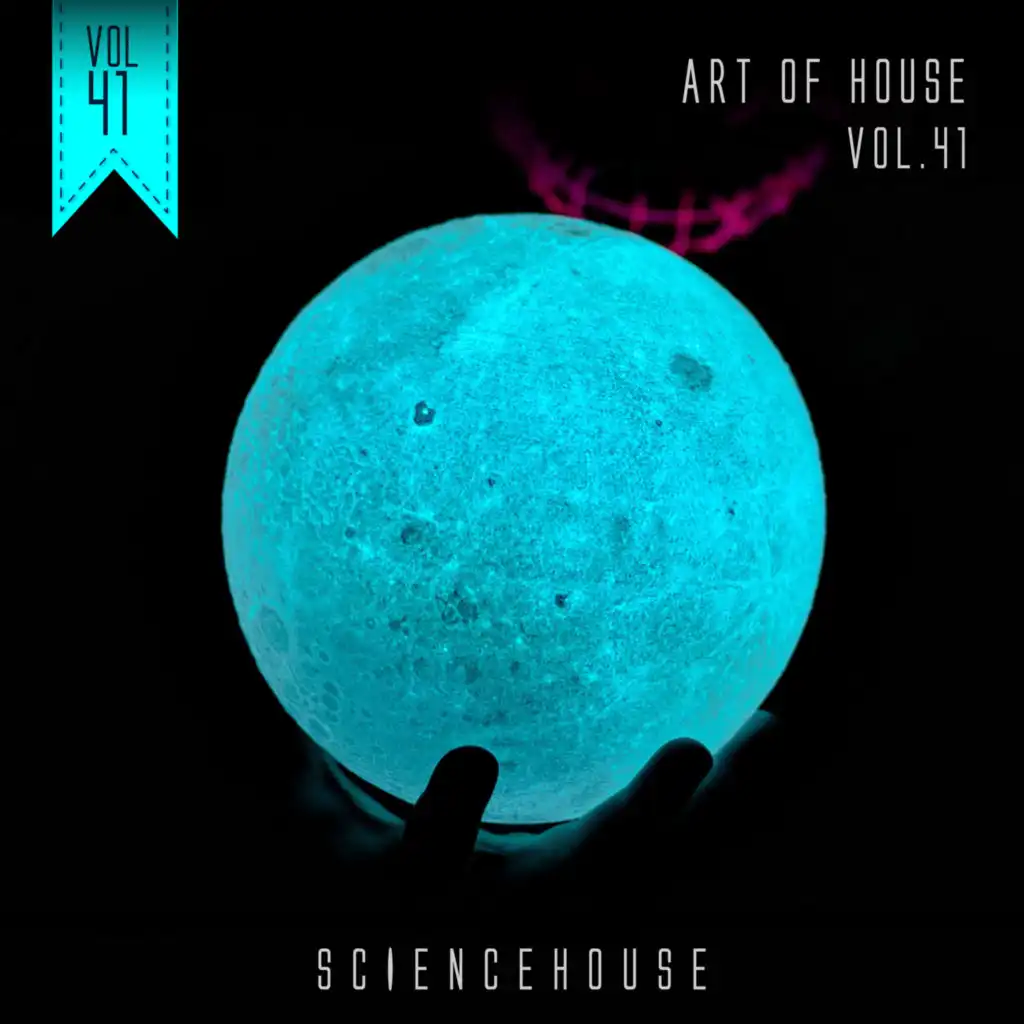 Art Of House - VOL.41