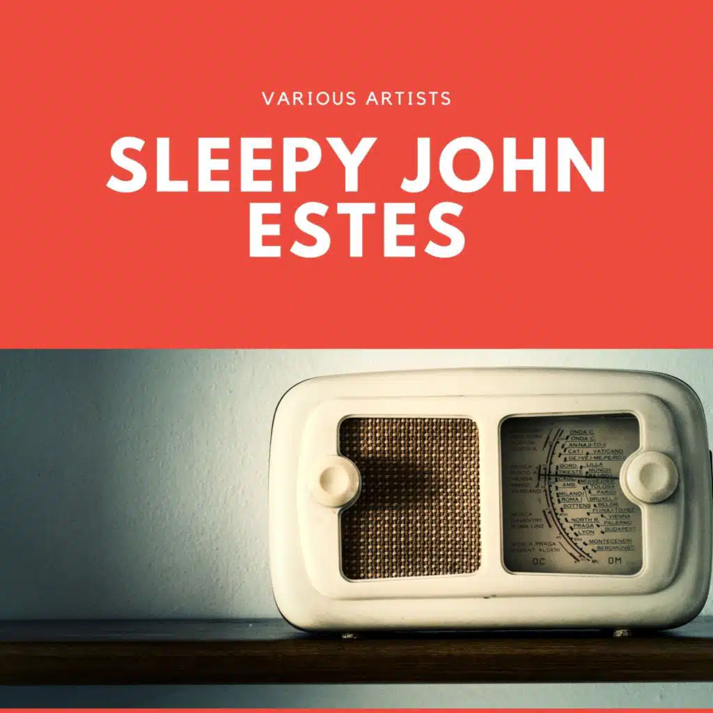 Sleepy John Estes