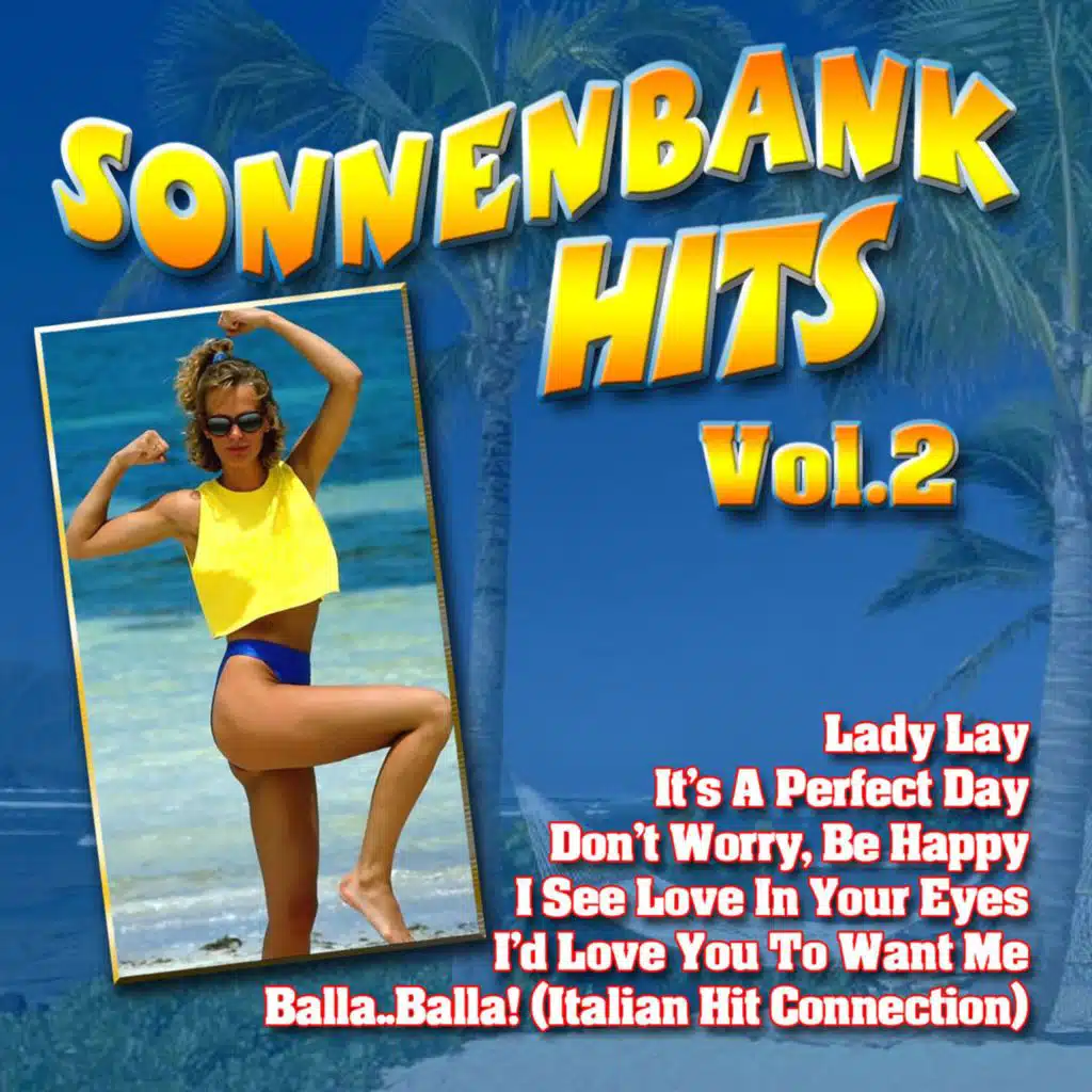 Sonnenbank Hits, Vol. 2