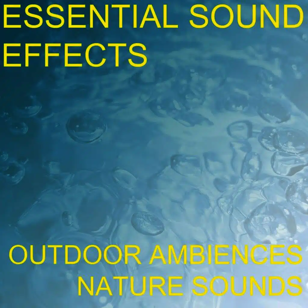 Essential Sound Effects 1 - Outdoor Ambiences, Nature Sounds