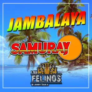 Jambalaya (feat. Los Felinos de Jonnhy Zavala)