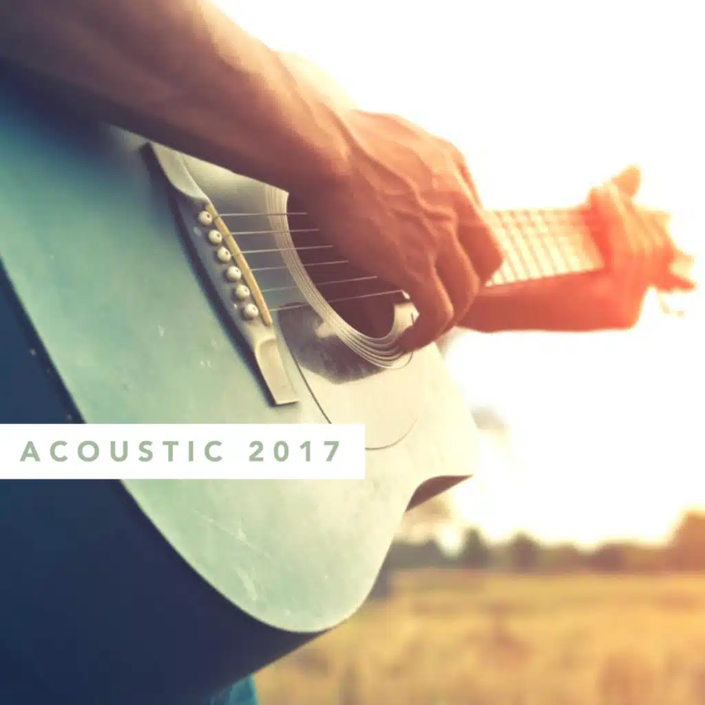 Acoustic 2017