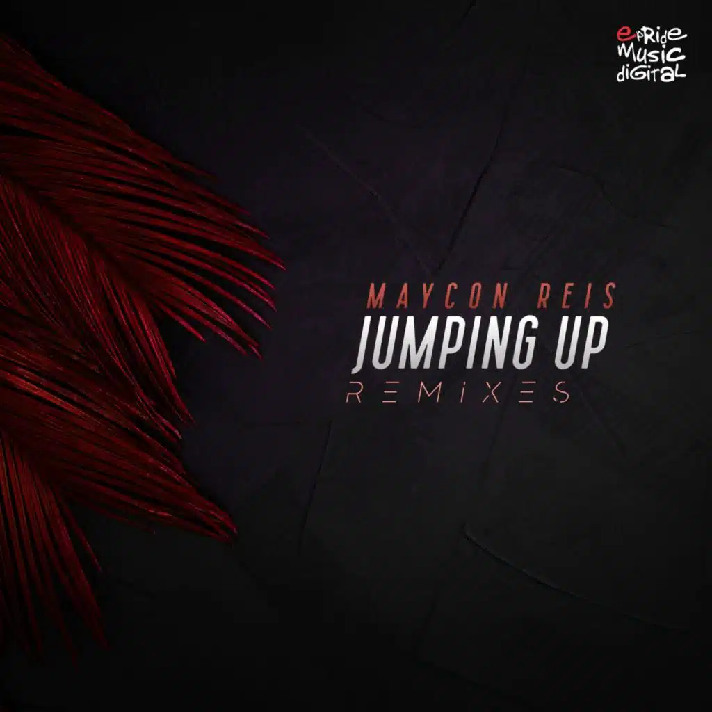 Jumping Up (Leanh & Robson Alves Remix)