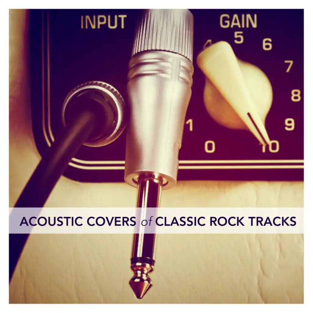 Acoustic Covers of Classic Rock Tracks