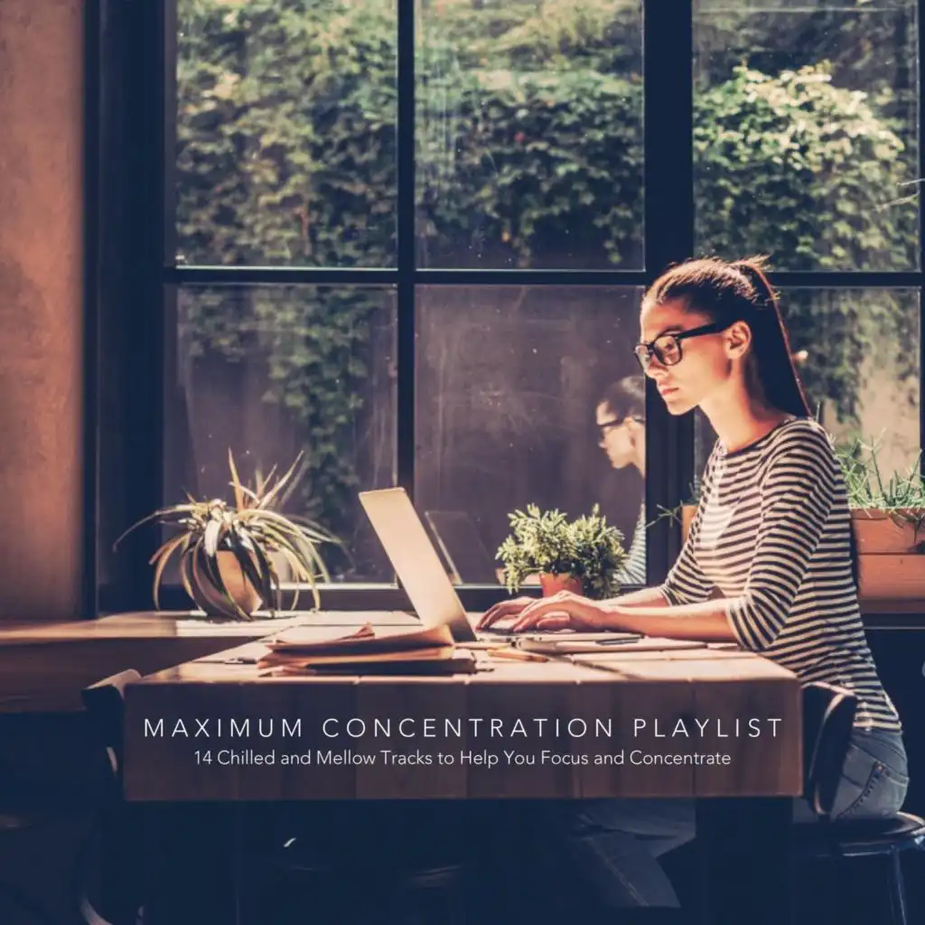 Maximum Concentration Playlist: 14 Chilled and Mellow Tracks to Help You Focus and Concentrate