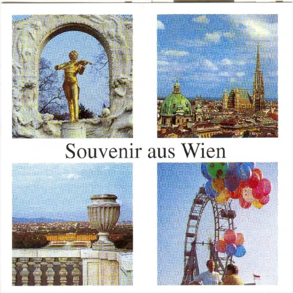 Souvenir aus Wien