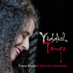 Timna Brauer & Elias Meiri Ensemble