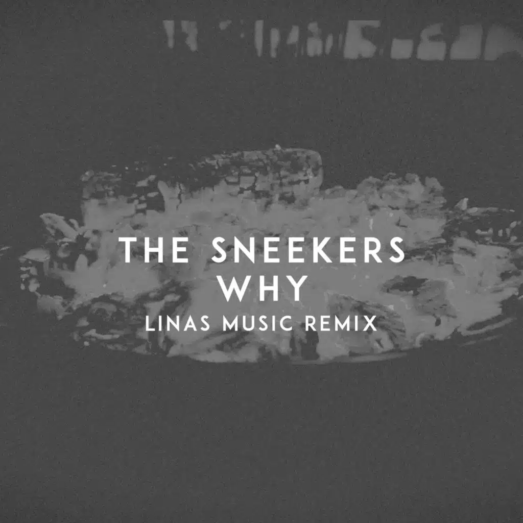 Why (Linas Music Remix)