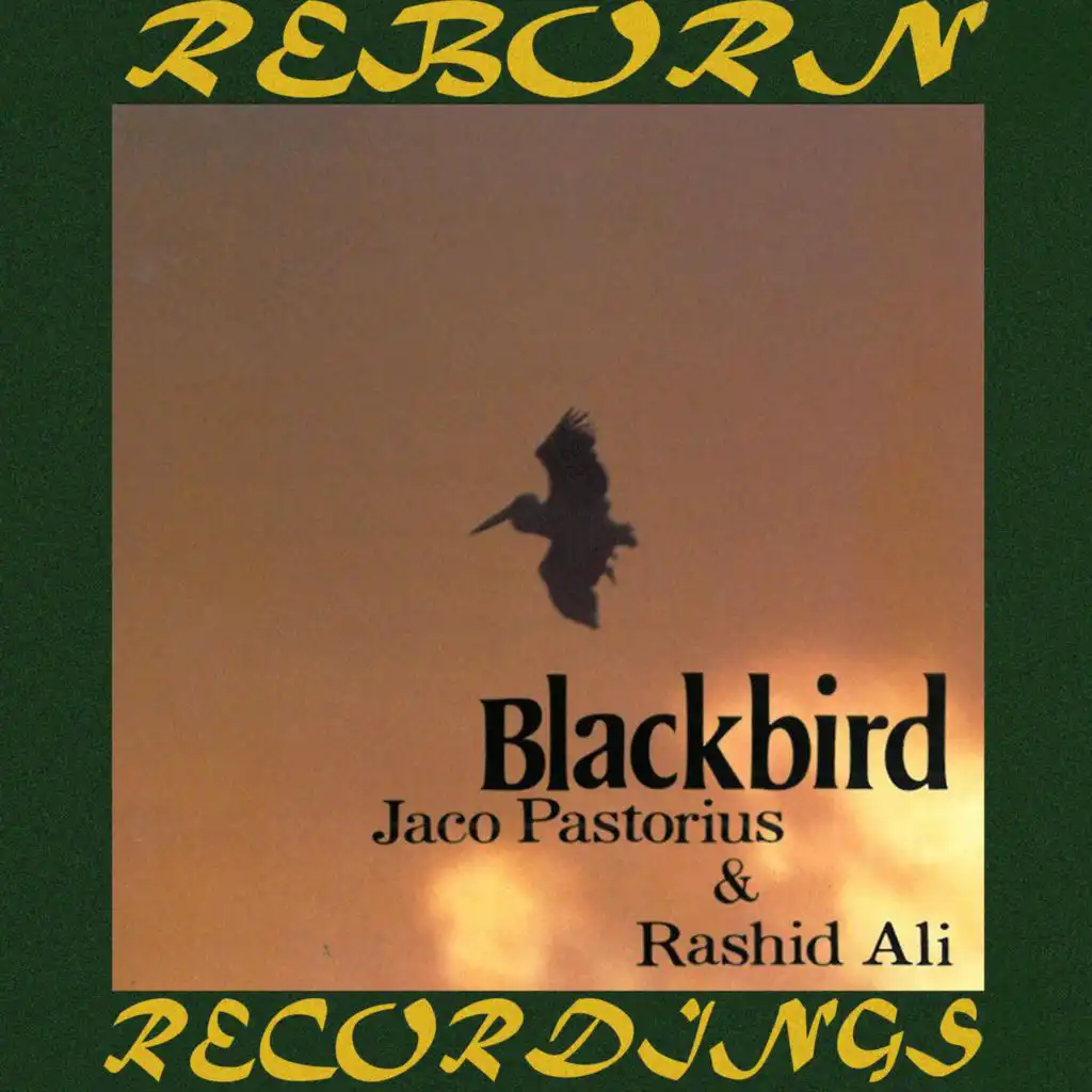 Blackbird (Hd Remastered)