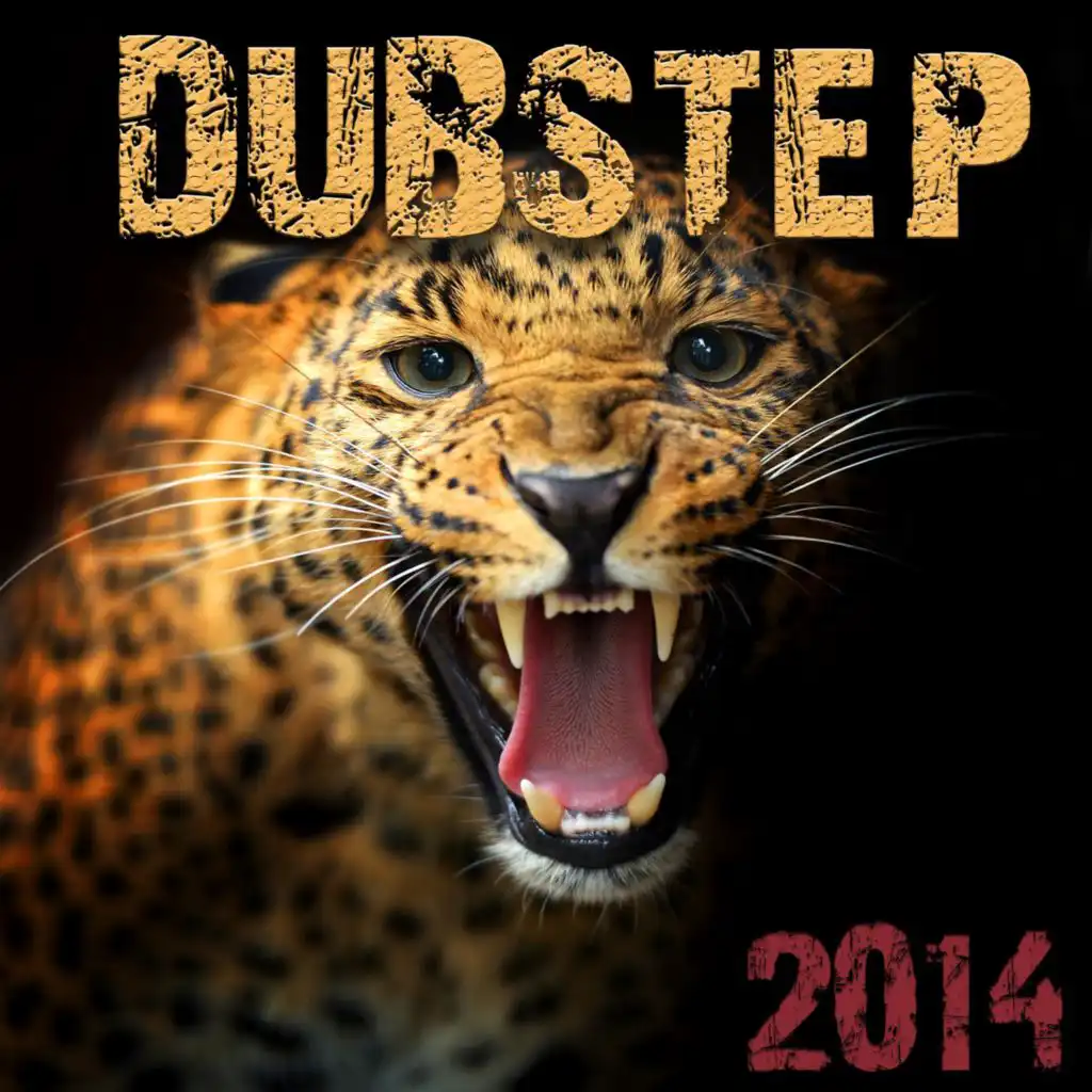 It's Over (Dubstep 2014 Mix)