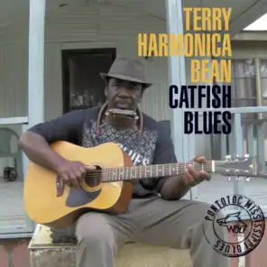 Terry Harmonica Bean
