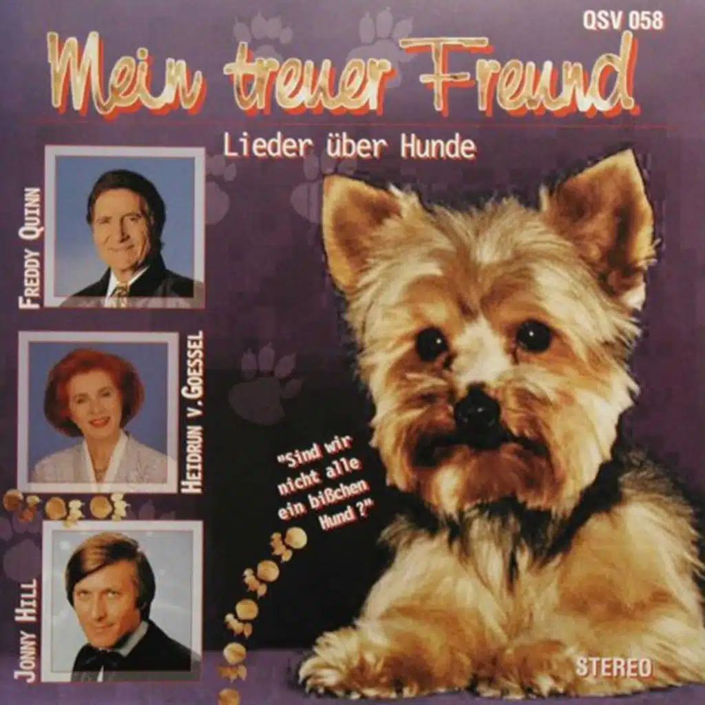 Mein treuer Freund - Lieder über Hunde