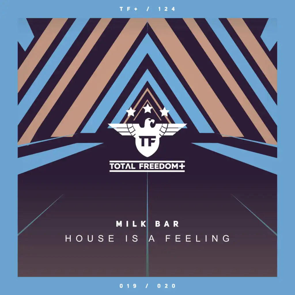 House Is A Feeling (Extended Mix)