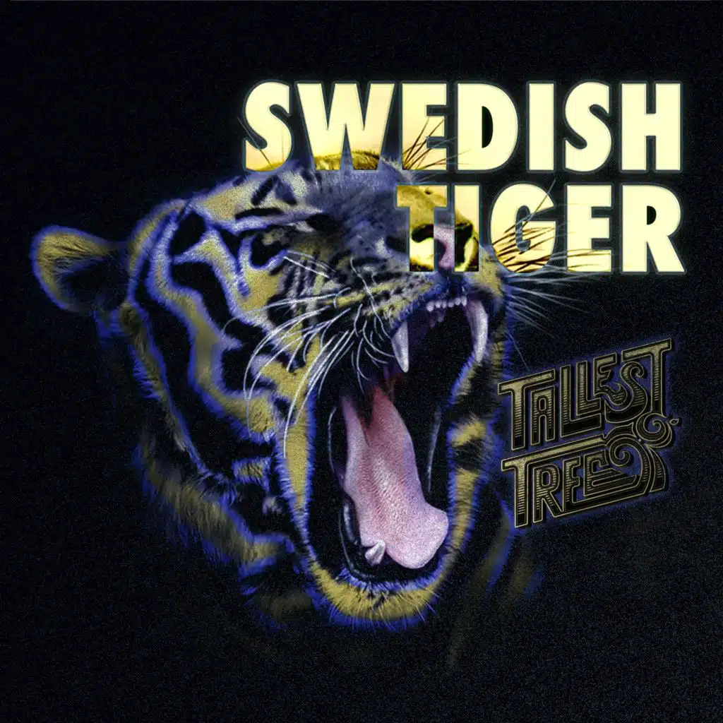 Swedish Tiger