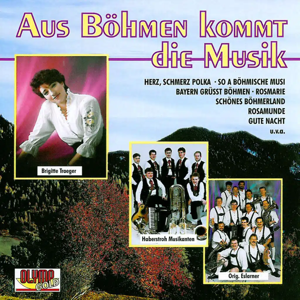 Lieblingsmelodien