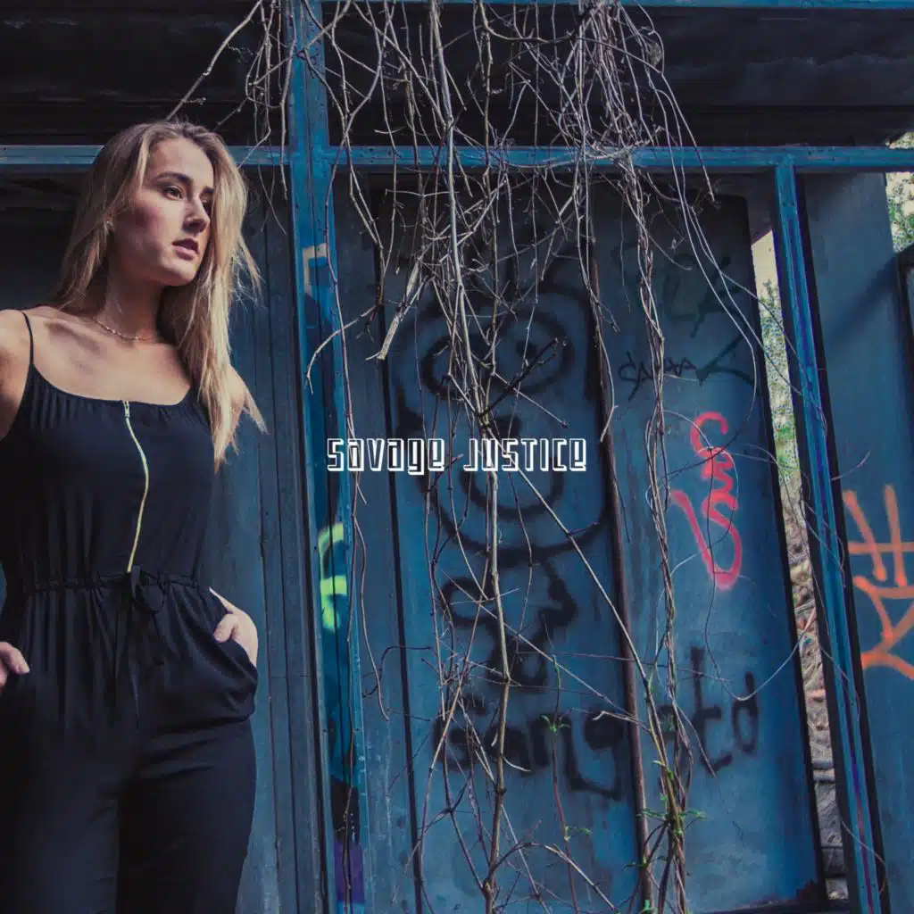 Kittens in the Kitchen