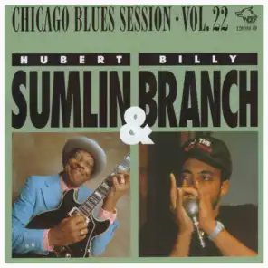 Chicago Blues Session, Vol. 22