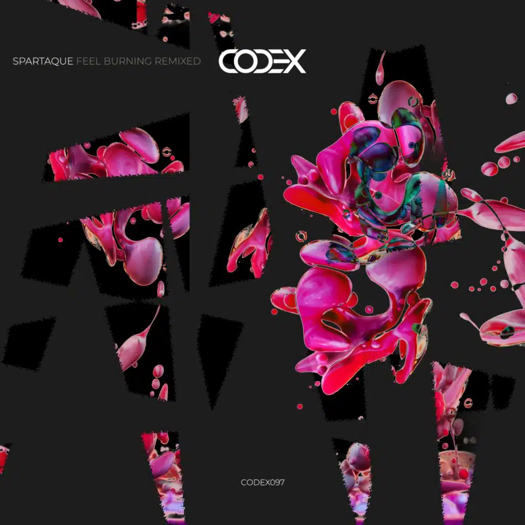 Feel Burning Remixed