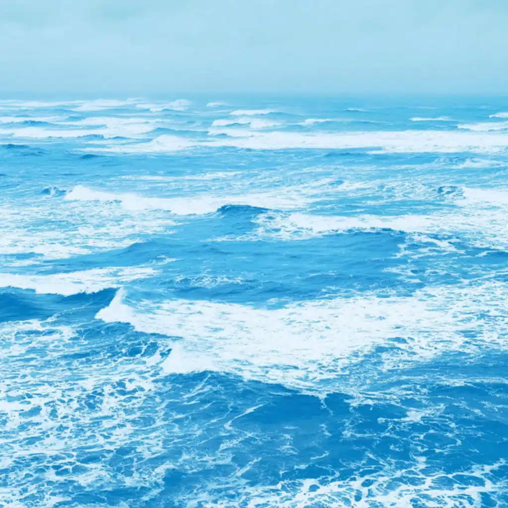 Ryo Fukui & 福居良