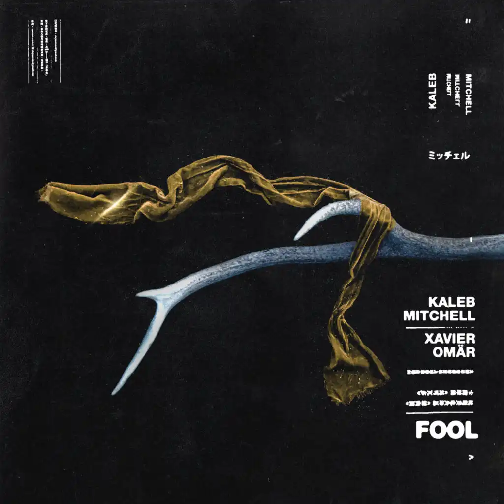 FOOL (feat. Xavier Omär)