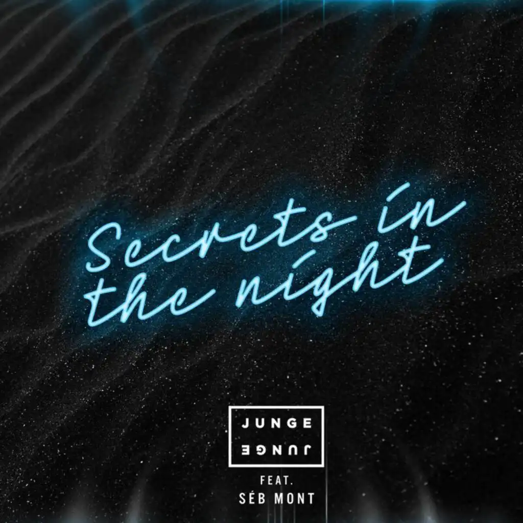 Secrets In The Night (feat. Séb Mont)