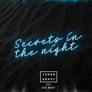 Secrets In The Night (feat. Séb Mont)