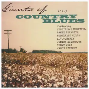 Giants of Country Blues Guitar, Vol. 3