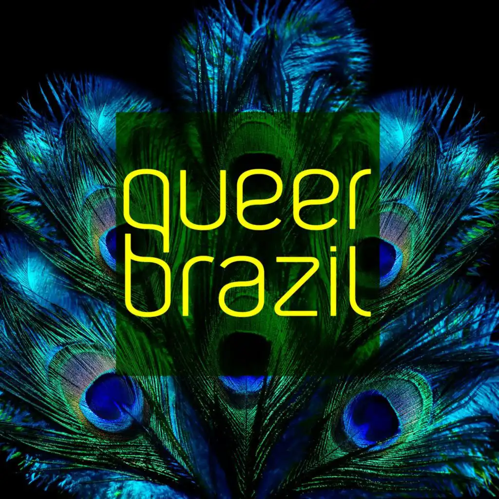 Queer Brazil