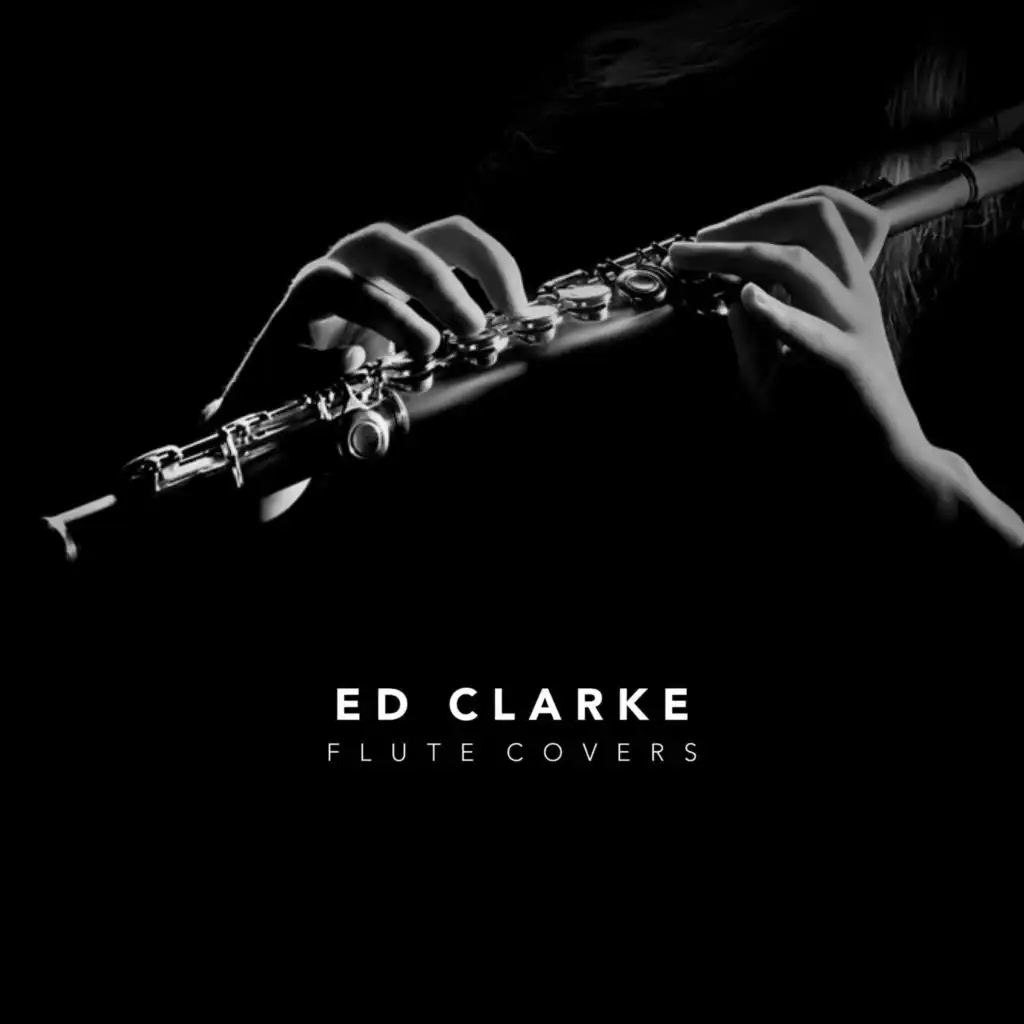 Flute Covers