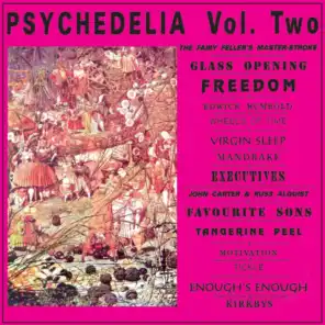 Psychedelia, Volume Two: The Fairy Feller's Master Stroke