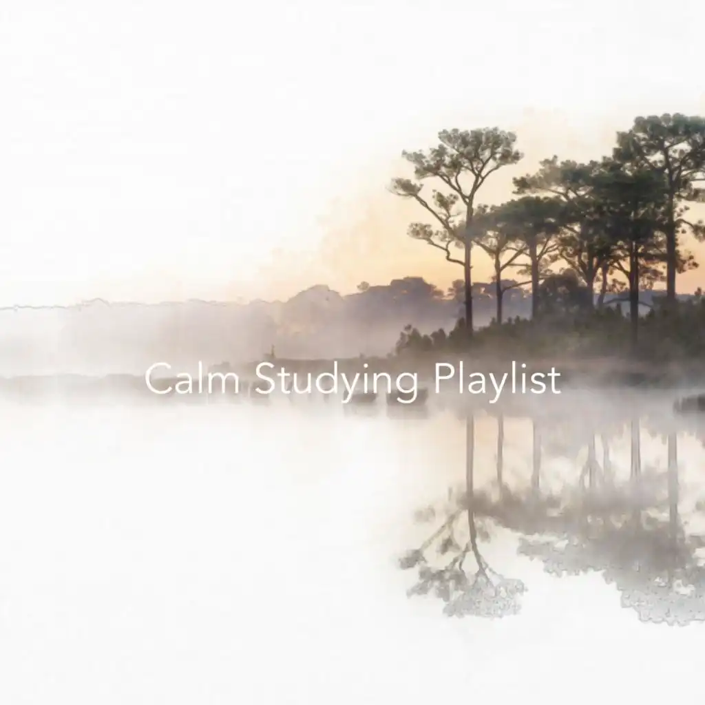 Calm Studying Playlist