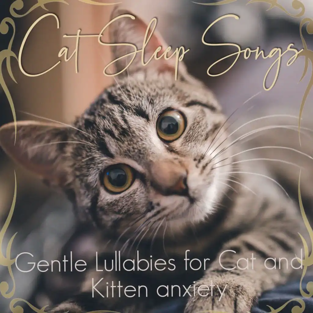 Music for Pets