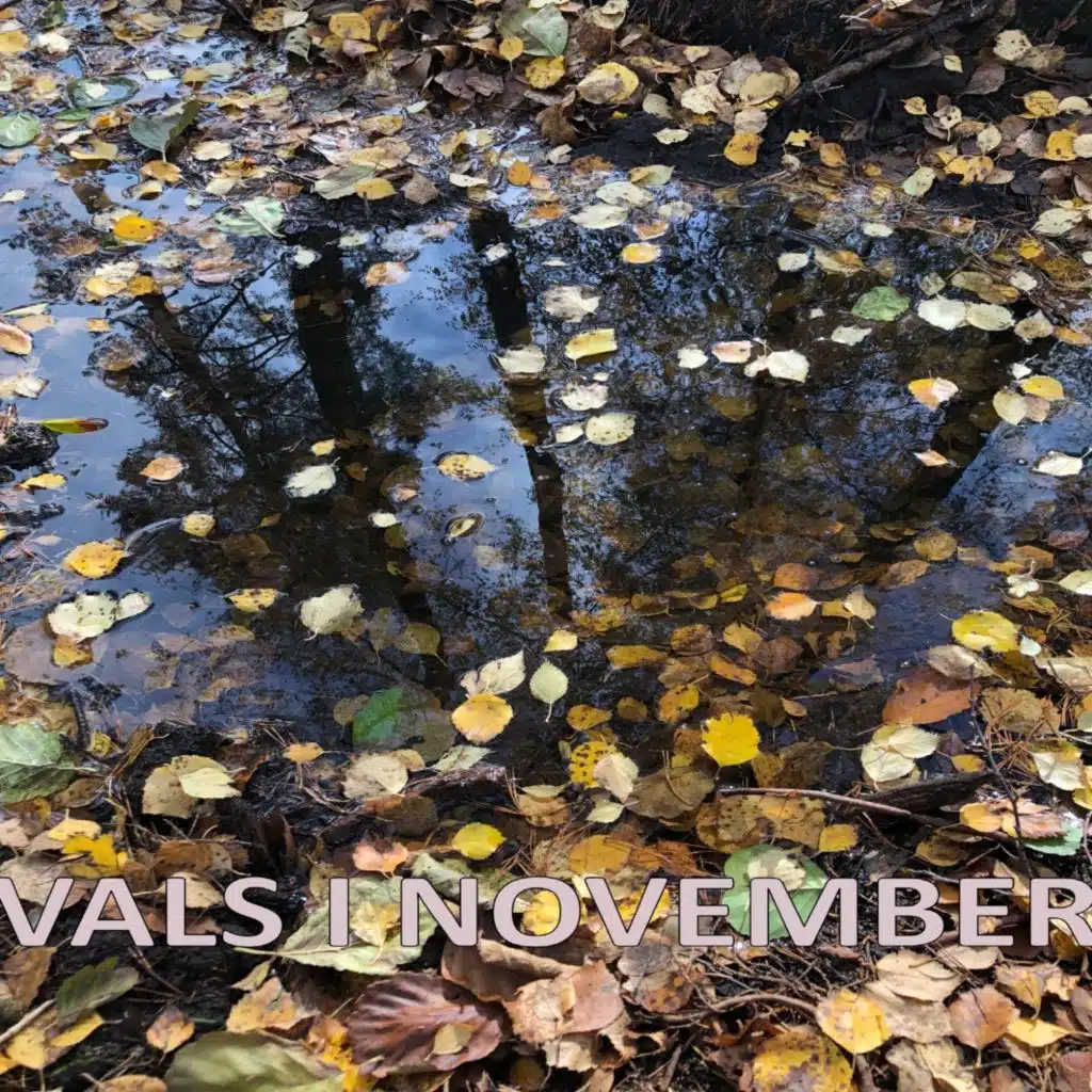 Vals I November