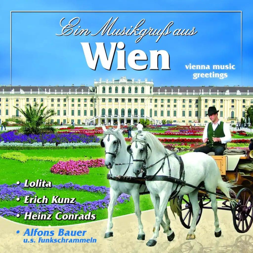 Wiener Musi - Wiener Walzer