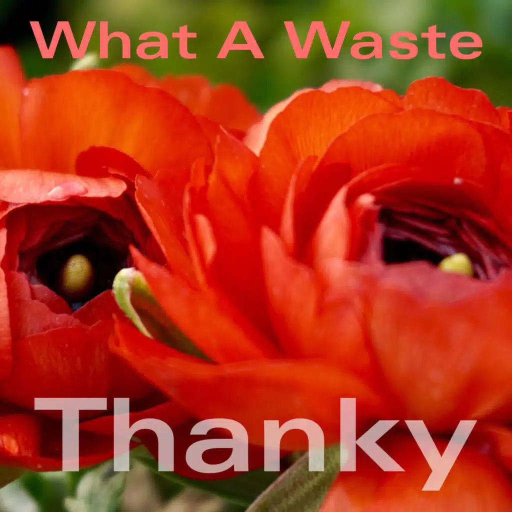 What a Waste