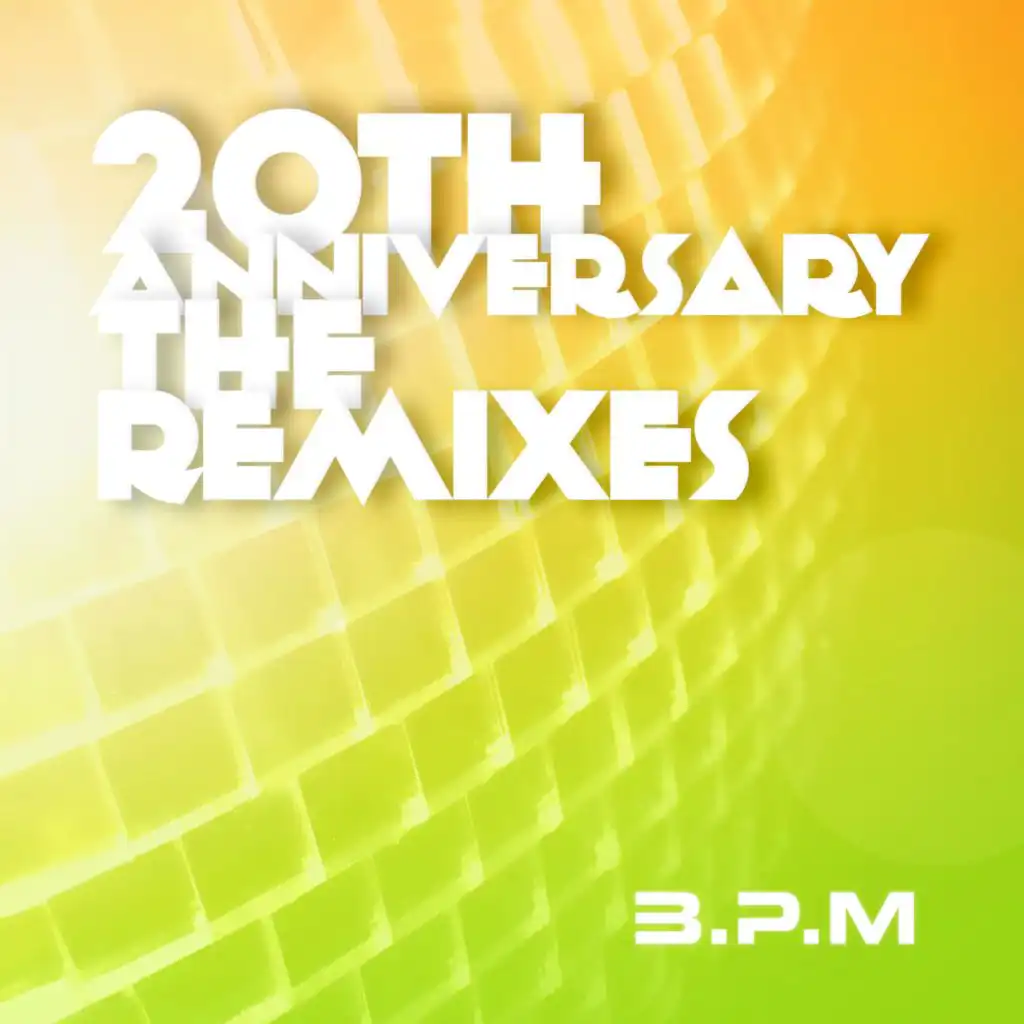 The 20th Anniversary the Remixes