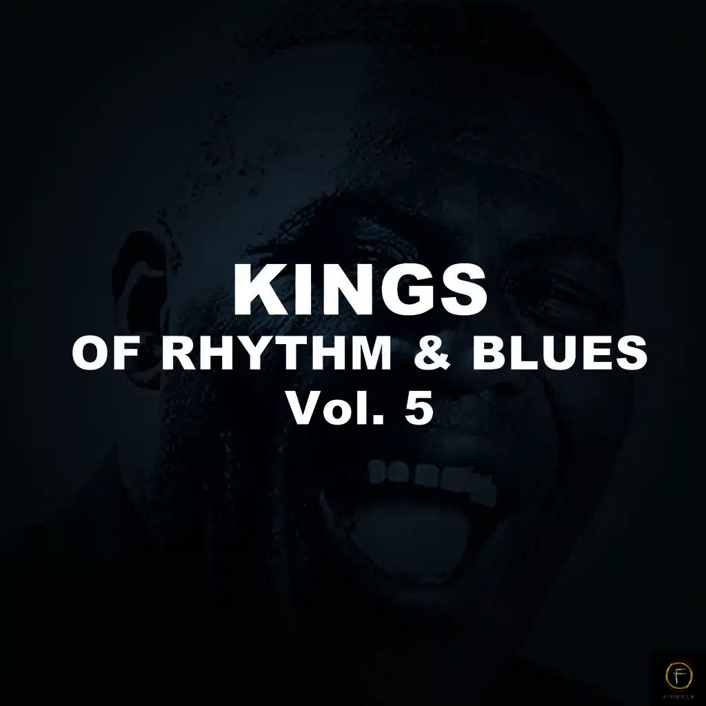 In the Still of the Nite