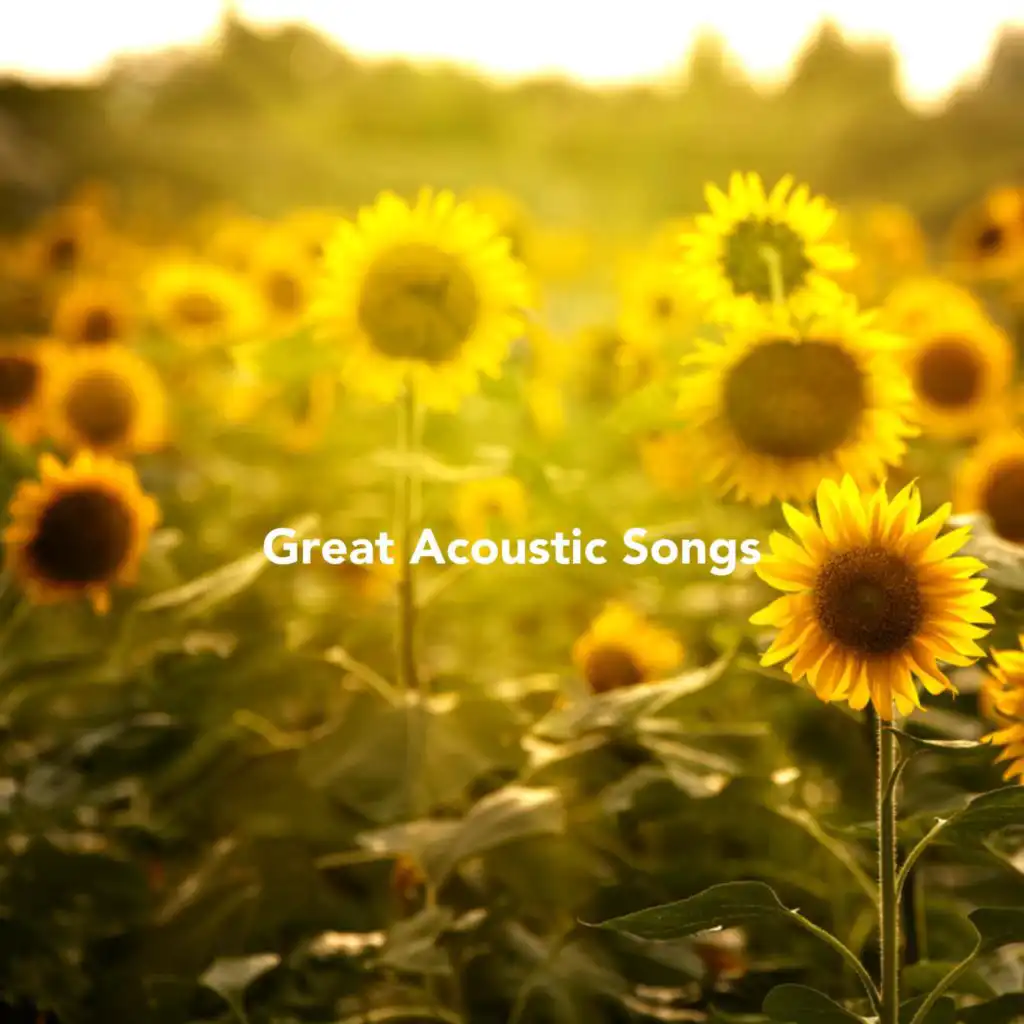 Great Acoustic Songs