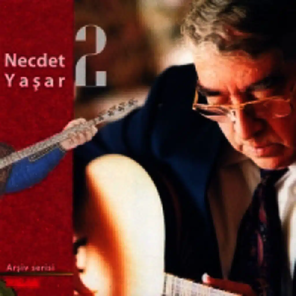 Necdet Yaşar 2 Arşiv Serisi