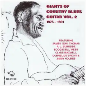 Giants of Country Blues Guitar, Vol. 2