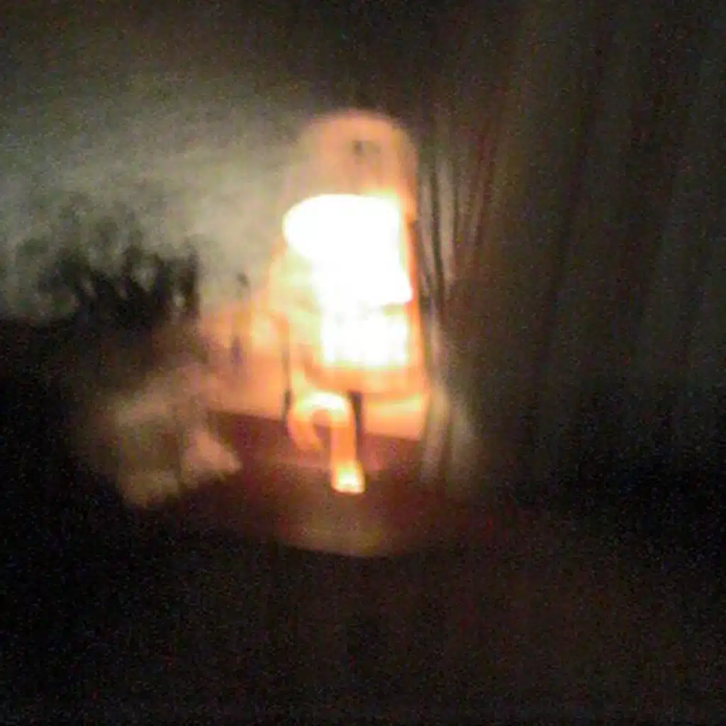 Wolf Under the Moon's Sky