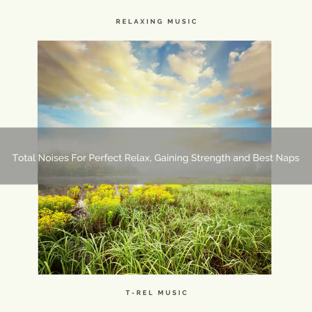 Total Noises For Perfect Relax, Gaining Strength and Best Naps