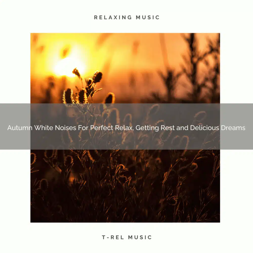 Brown Noise Assistant & Real White Noise Therapy