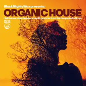 Organic House (Chill House, Downtempo, Smooth Grooves From The Deep Mind of Irma)