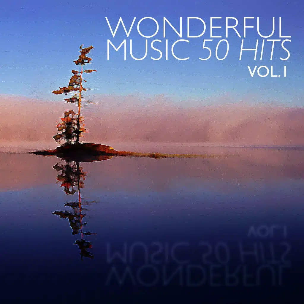 Wonderful Music - 50 Hits Vol. 1